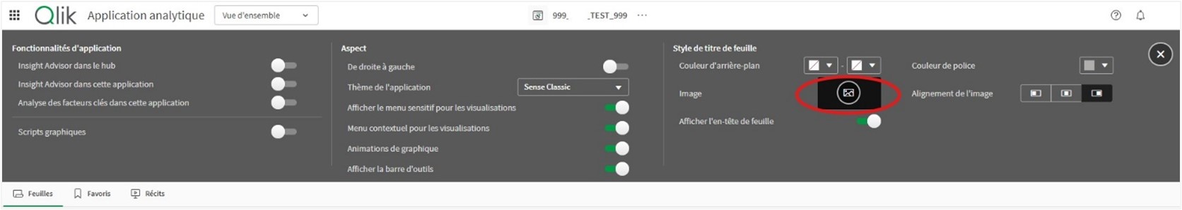 chargement image qlik