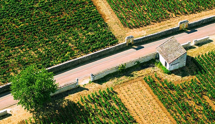 domaine viticole bivb