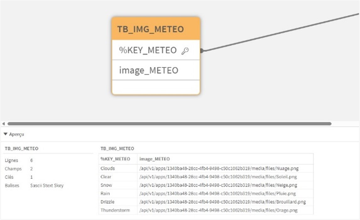 modele de donnees qlik